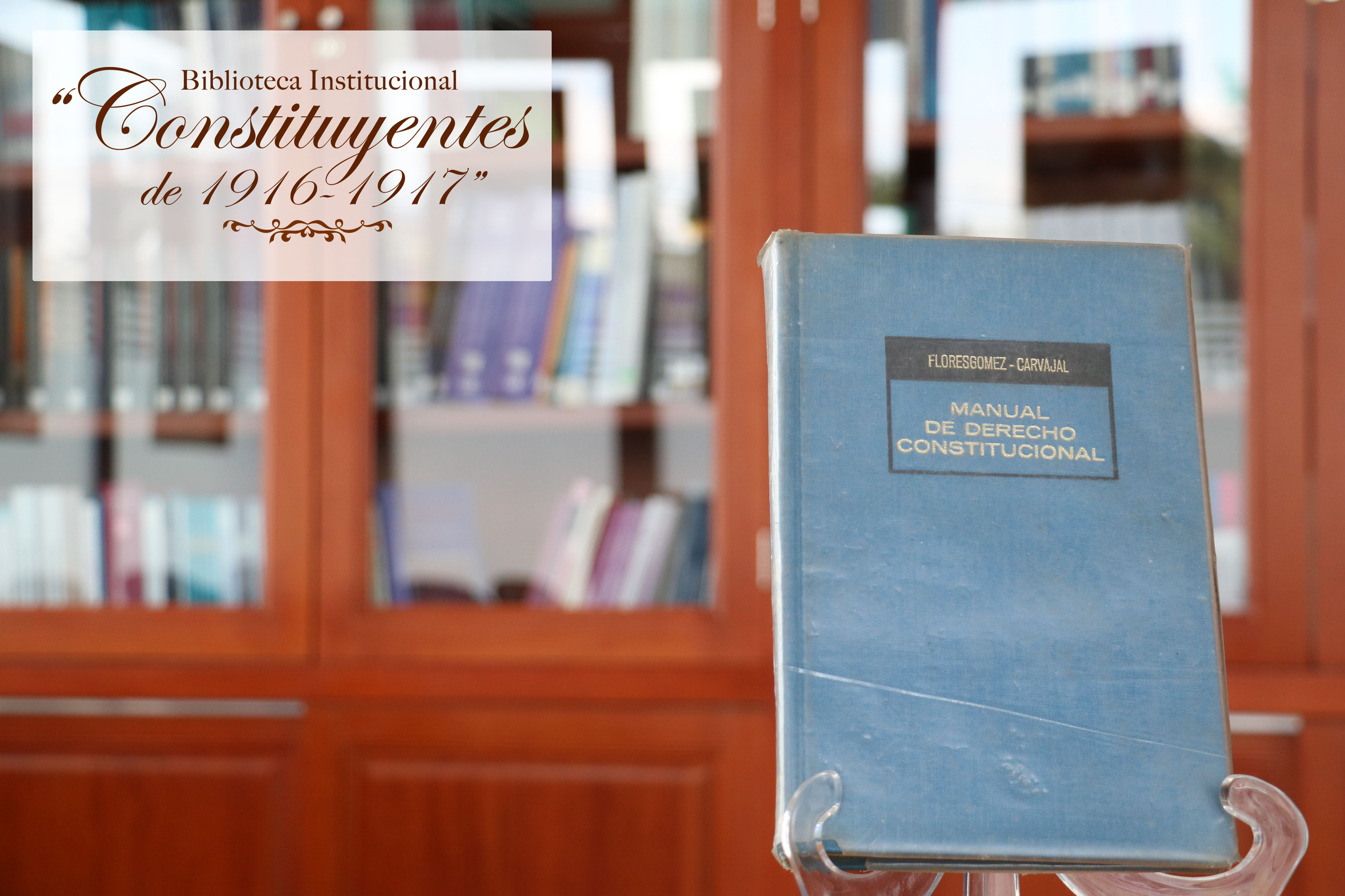 Manual de Derecho Constitucional | Infoem | Somos tu acceso a la